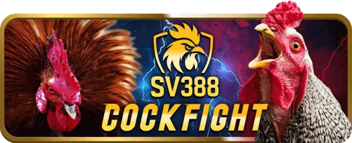 Ưu Đãi Sinh Nhật VIP god55